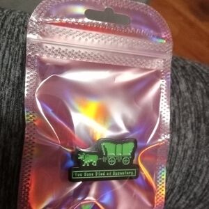 Enamel Pin You Have Died Of Dysentery